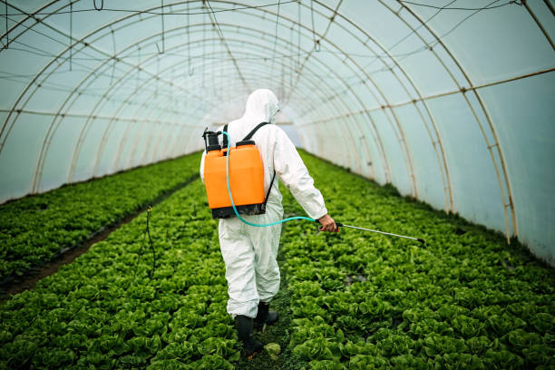 Best Ant Control Services  in Santa Rosa Valley, CA