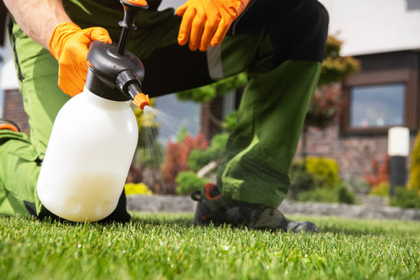 Best Spider Control Near Me  in Santa Rosa Valley, CA