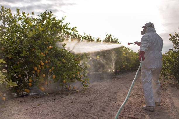 Best Wildlife Control Services  in Santa Rosa Valley, CA