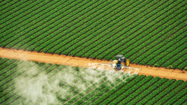 Best Pest Control Near Me  in Santa Rosa Valley, CA