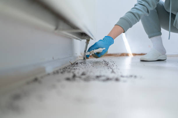 Best Pest Removal Services  in Santa Rosa Valley, CA