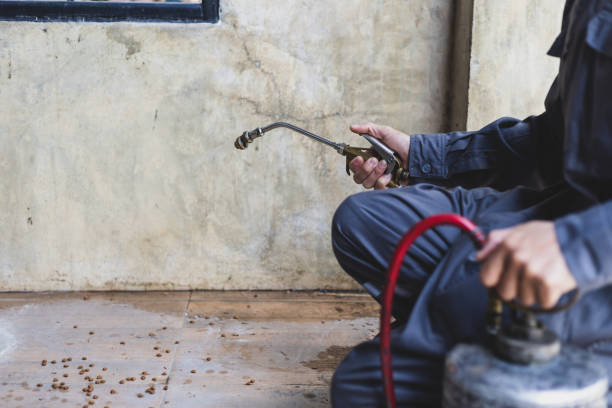 Professional Pest Control in Santa Rosa Valley, CA