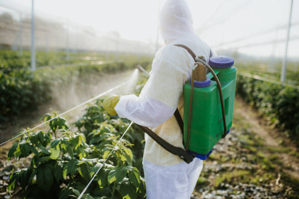 Best Flea Control Services  in Santa Rosa Valley, CA